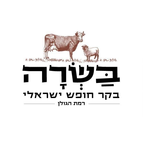 לוגו לקוח של ברנדי 66